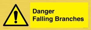 Danger Falling Branches